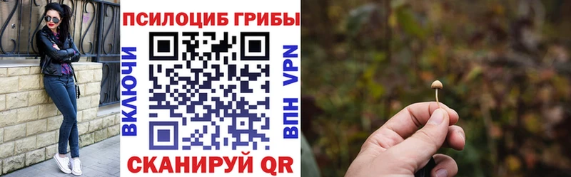 blacksprut онион Богородск Галлюциногенные грибы Cubensis как найти наркотики