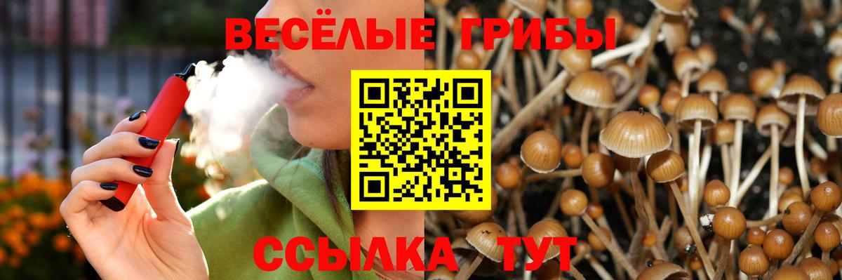 Богородск  продажа наркотиков  Галлюциногенные грибы Psilocybine cubensis  Вход с VPN  Галлюциногенные грибы Magic Shrooms 