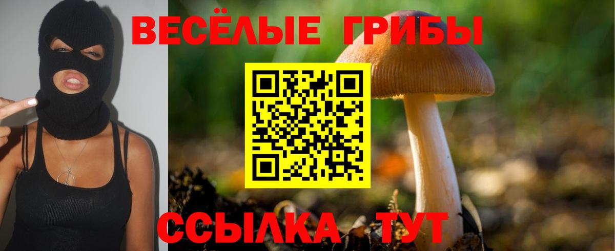 Галлюциногенные грибы ЛСД Богородск